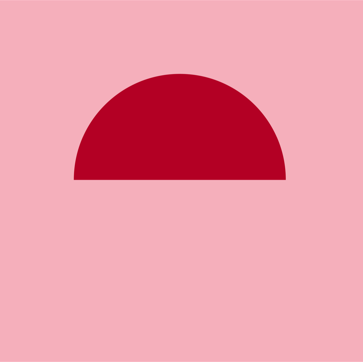 The Studio & Fractional Creative Direction